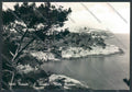 Foggia Isole Tremiti Foto FG cartolina ZF7114 – fronte