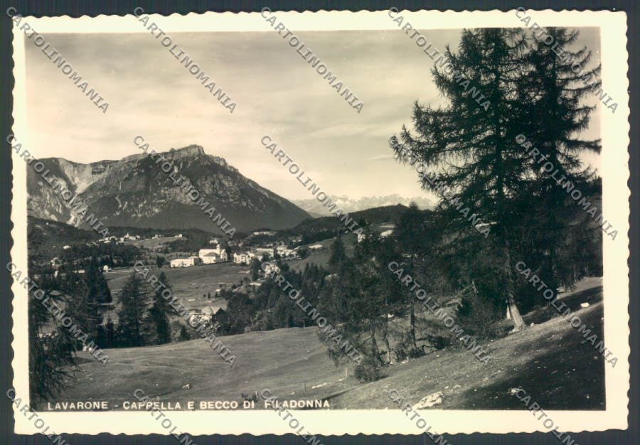 Trento Lavarone Foto FG cartolina ZF7198 – fronte
