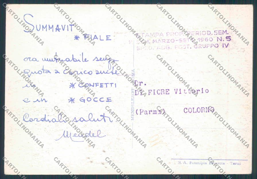 Frosinone Montecassino Pubblicità FG cartolina ZF7267 – retro