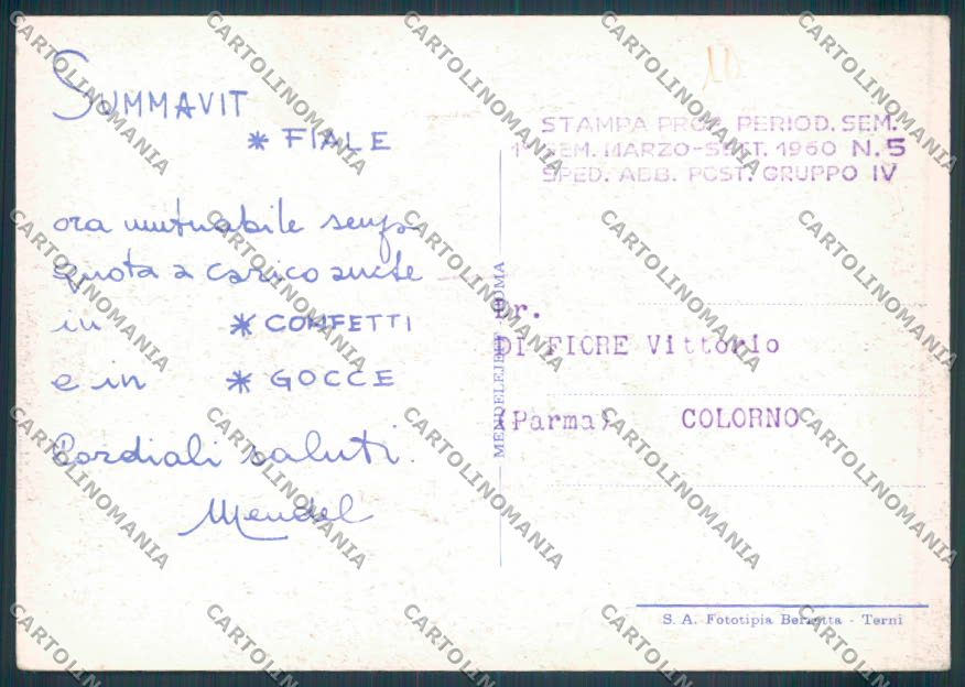 Frosinone Montecassino Pubblicità FG cartolina ZF7268 – retro