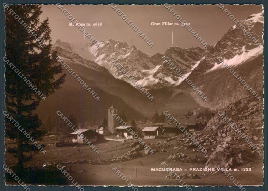 Verbania Macugnaga Villa FG cartolina ZF7292 – fronte