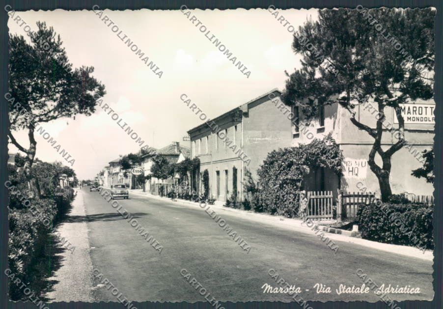 Pesaro Marotta Foto FG cartolina ZF7347 – fronte