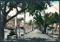 Roma Monte Compatri Foto FG cartolina ZF7366 – fronte