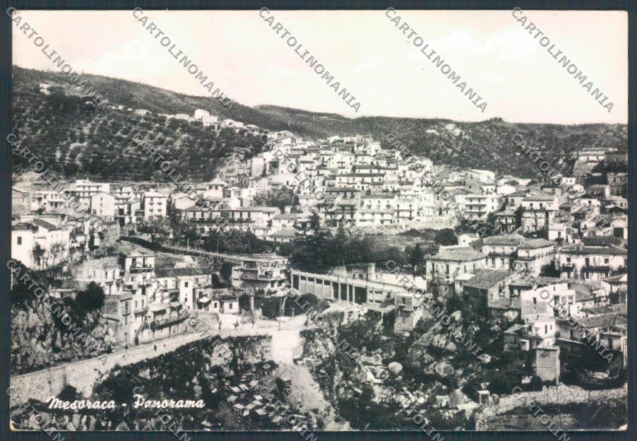 Catanzaro Mesoraca Foto FG cartolina ZF7425 – fronte