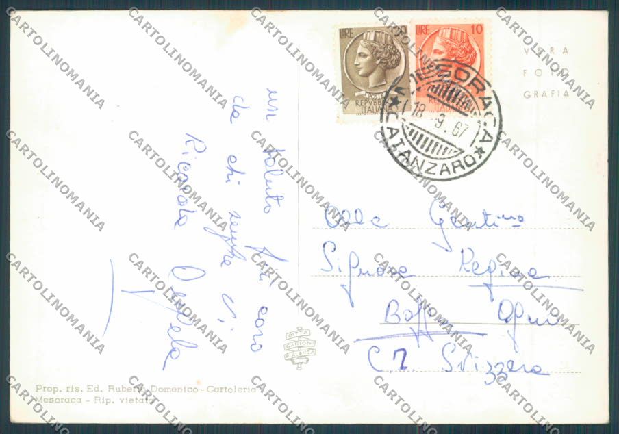 Catanzaro Mesoraca Foto FG cartolina ZF7425 – retro