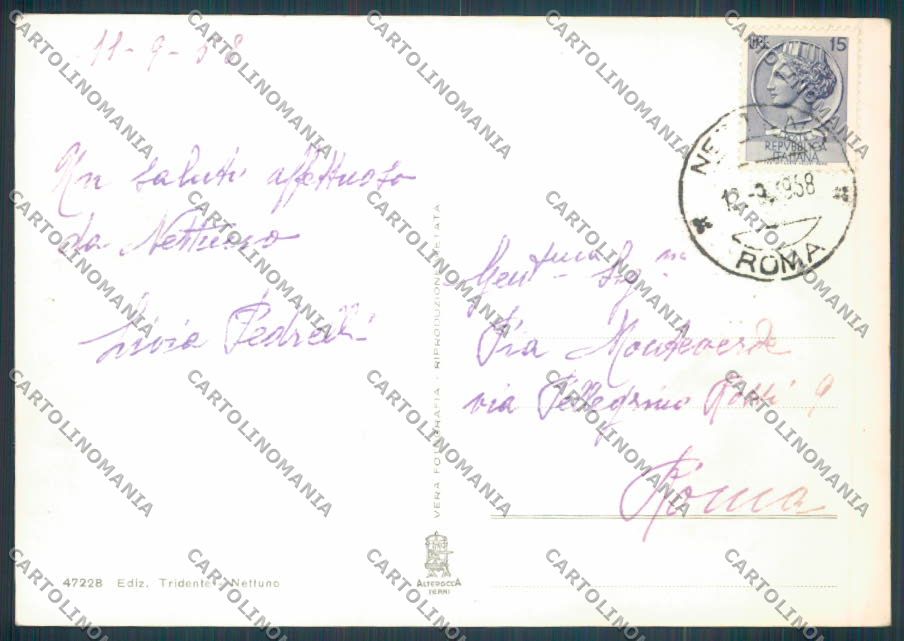 Roma Nettuno Foto FG cartolina ZF7498 – retro