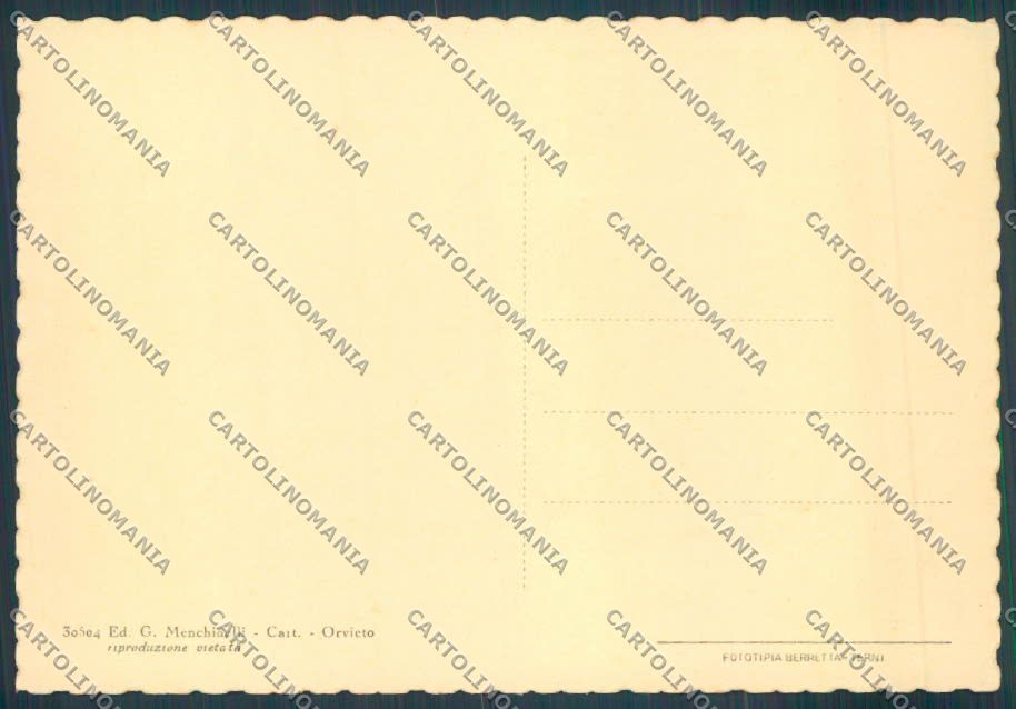 Terni Orvieto Città FG cartolina ZF7553 – retro