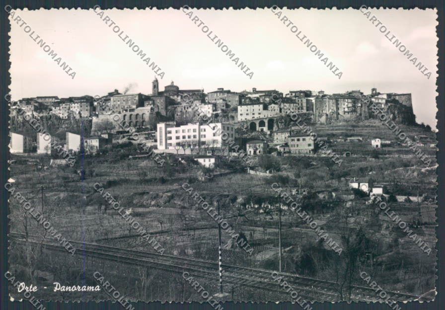 Viterbo Orte Foto FG cartolina ZF7617 – fronte
