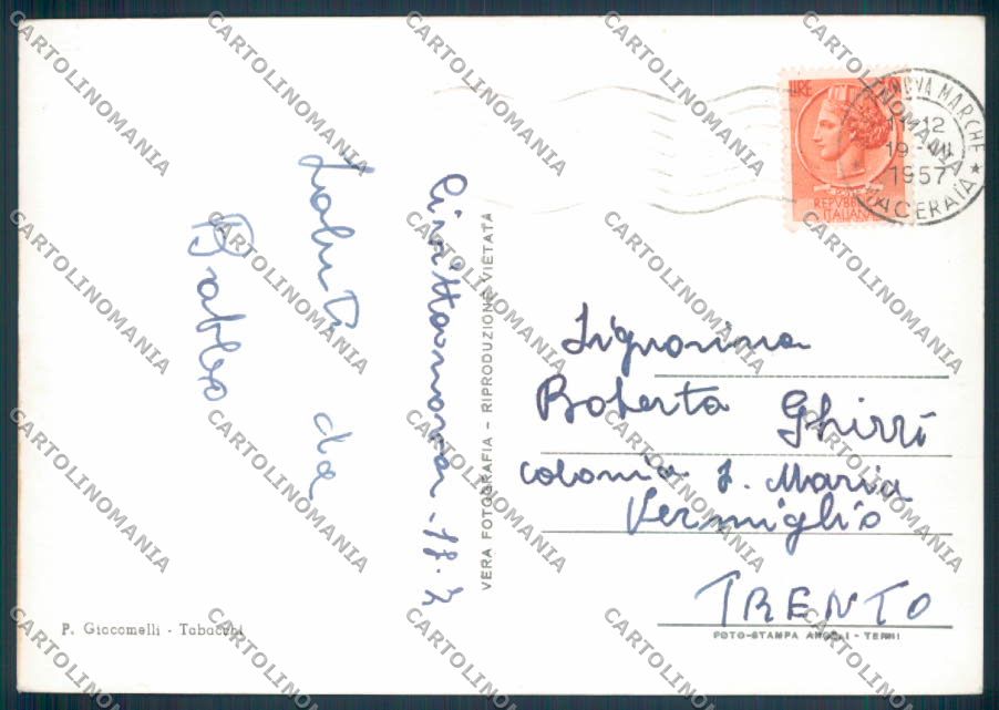 Macerata Porto Civitanova Foto FG cartolina ZF7686 – retro