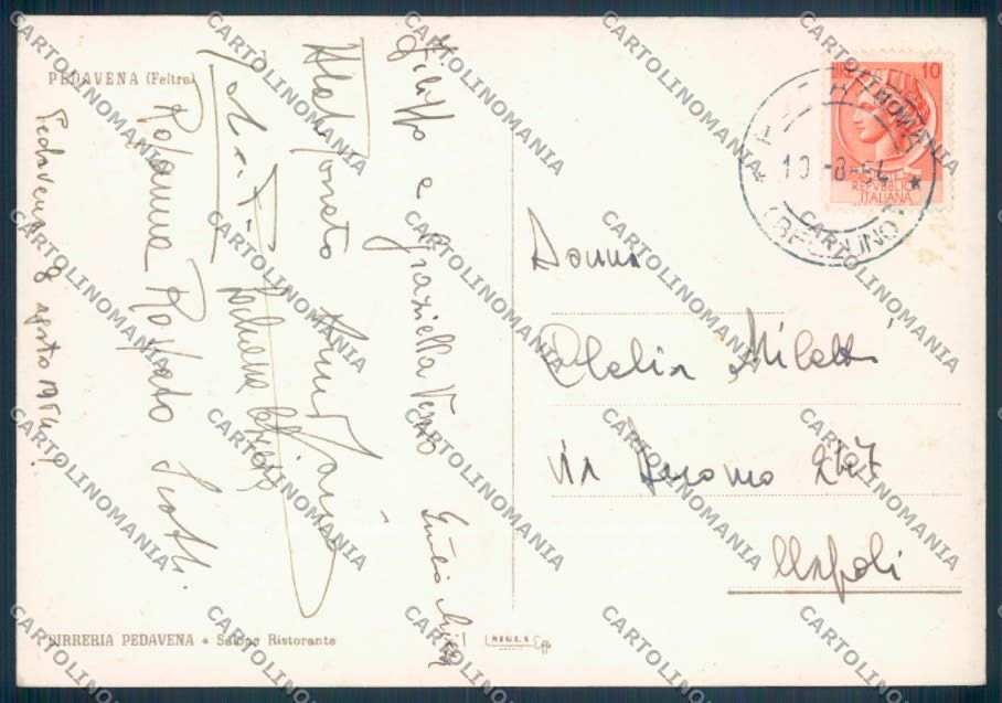 Belluno Pedavena FG cartolina ZF7714 – retro