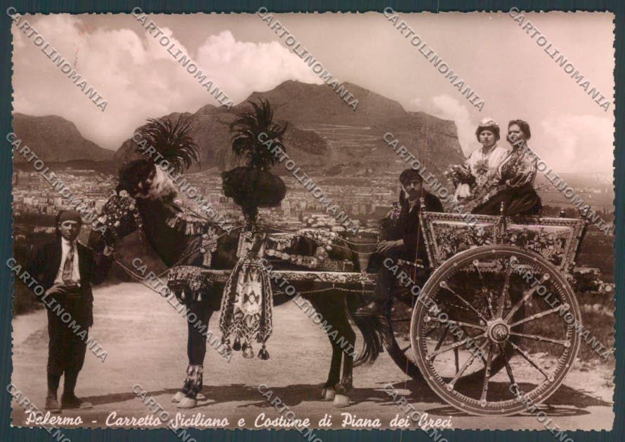 Palermo Città Carro Siciliani Foto FG cartolina ZF7792 – fronte