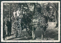 Palermo Città Carro Siciliani Foto FG cartolina ZF7806 – fronte