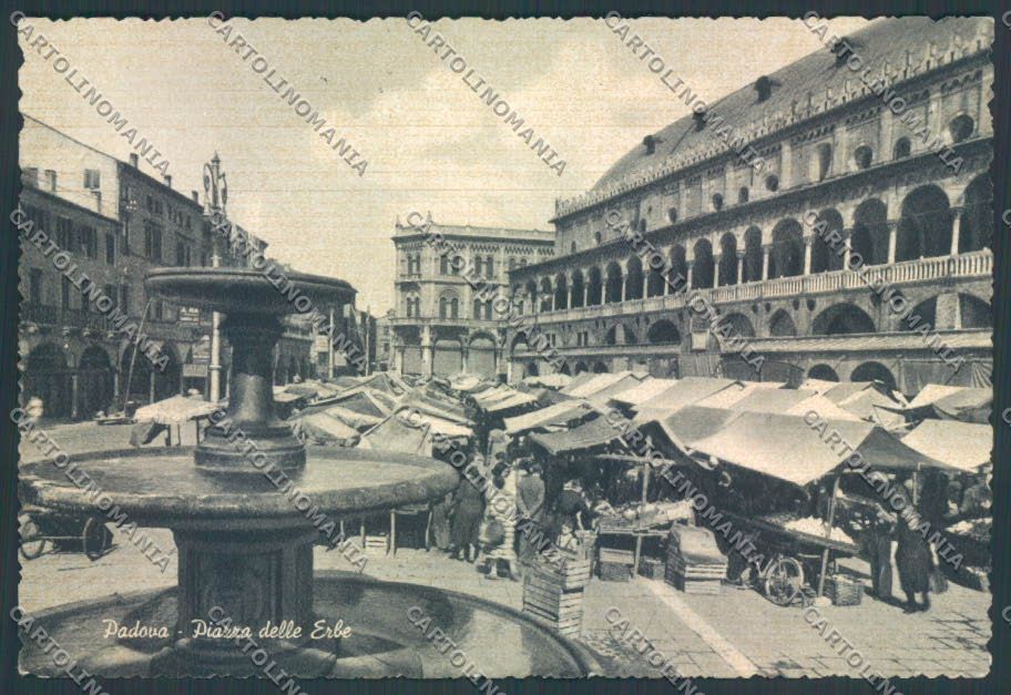Padova Città FG cartolina ZF7854 – fronte