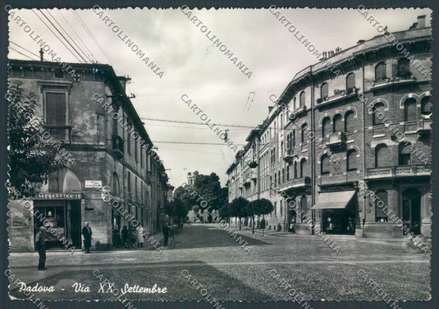 Padova Città Foto FG cartolina ZF7860 – fronte