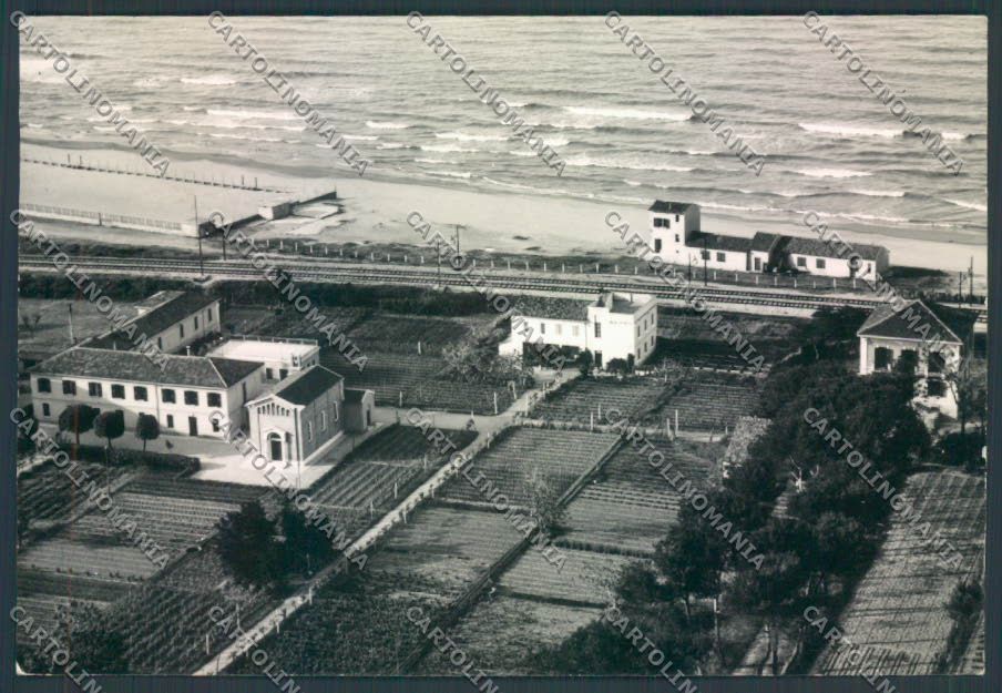 Pesaro Città Foto FG cartolina ZF7961 – fronte