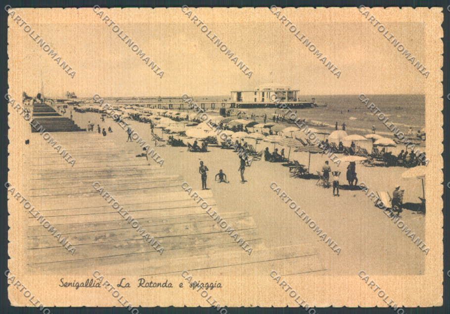 Ancona Senigallia FG cartolina ZF8175 – fronte