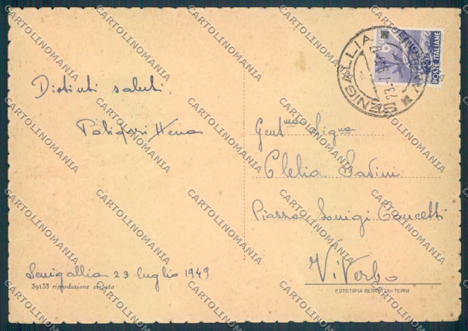 Ancona Senigallia FG cartolina ZF8175 – retro