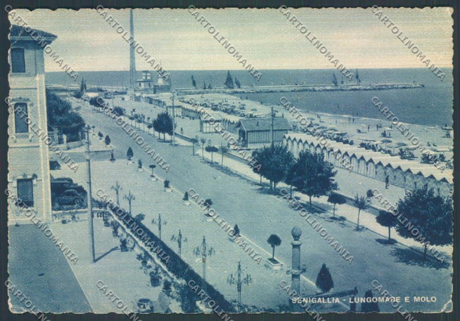 Ancona Senigallia FG cartolina ZF8177 – fronte