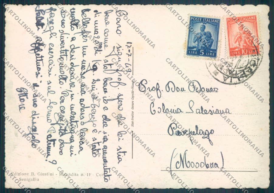 Ancona Senigallia FG cartolina ZF8177 – retro