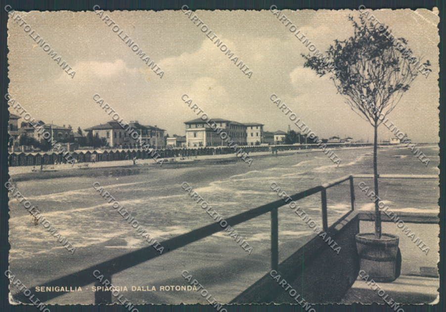 Ancona Senigallia PIEGHINE FG cartolina ZF8181 – fronte