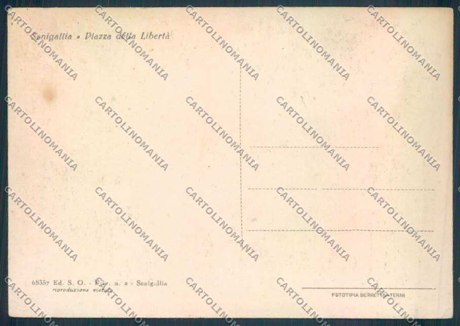 Ancona Senigallia FG cartolina ZF8182 – retro