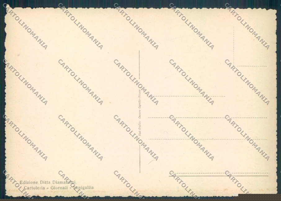 Ancona Senigallia FG cartolina ZF8183 – retro
