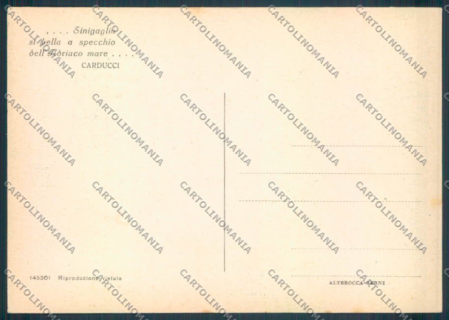 Ancona Senigallia FG cartolina ZF8184 – retro