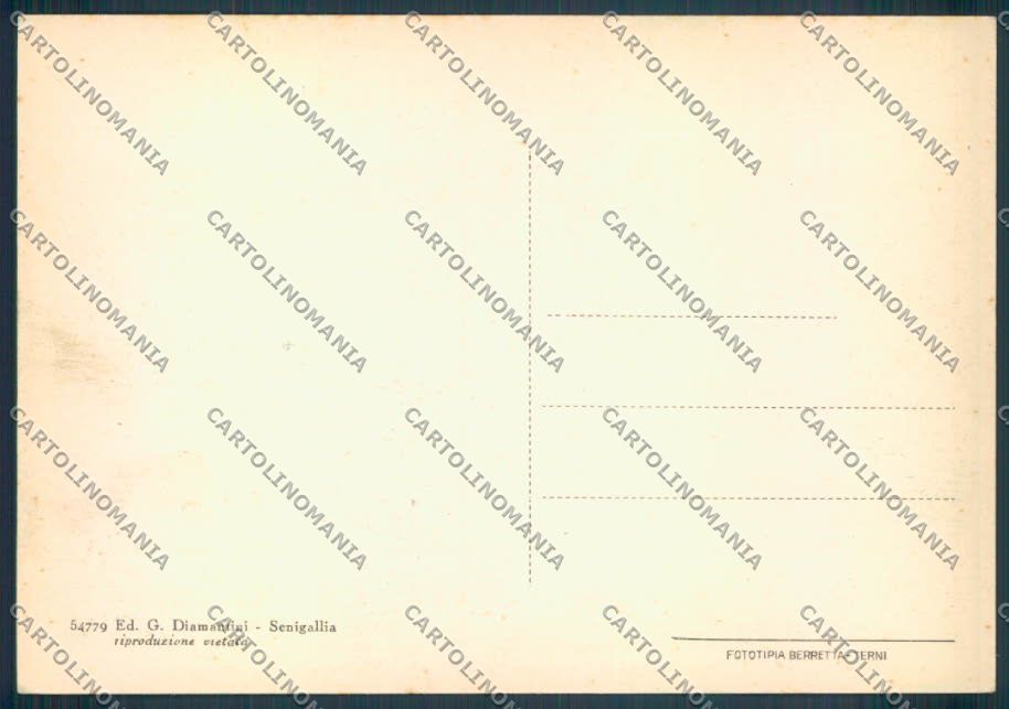 Ancona Senigallia FG cartolina ZF8186 – retro