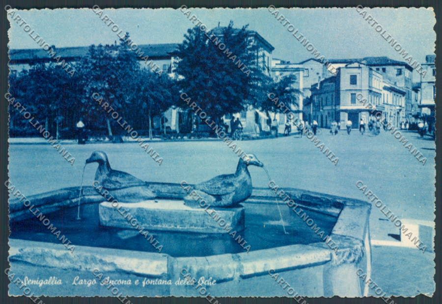 Ancona Senigallia FG cartolina ZF8187 – fronte