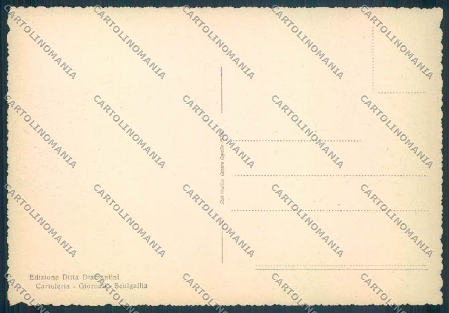 Ancona Senigallia FG cartolina ZF8187 – retro