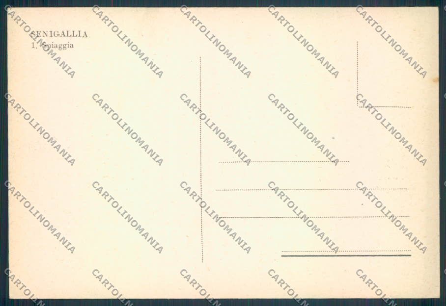 Ancona Senigallia FG cartolina ZF8189 – retro
