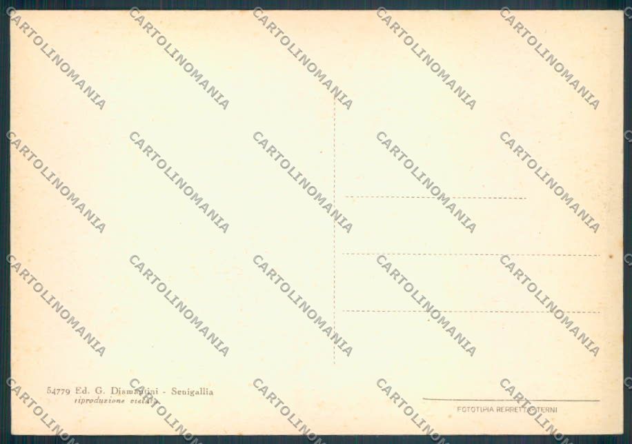 Ancona Senigallia FG cartolina ZF8190 – retro