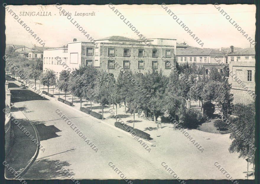 Ancona Senigallia FG cartolina ZF8191 – fronte
