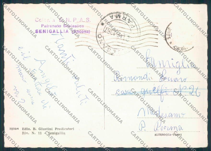 Ancona Senigallia FG cartolina ZF8191 – retro