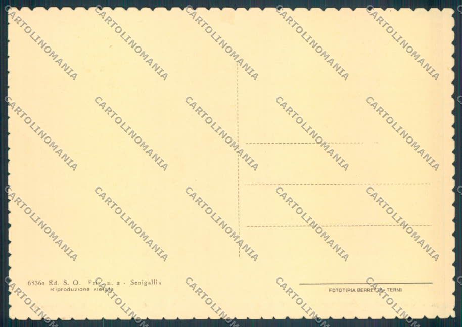 Ancona Senigallia FG cartolina ZF8194 – retro