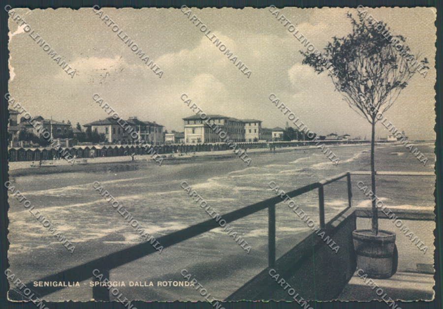 Ancona Senigallia ABRASA FG cartolina ZF8195 – fronte