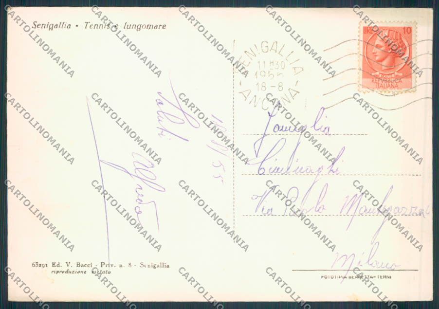Ancona Senigallia FG cartolina ZF8196 – retro