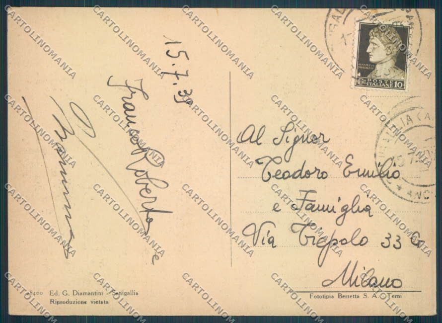 Ancona Senigallia FG cartolina ZF8199 – retro