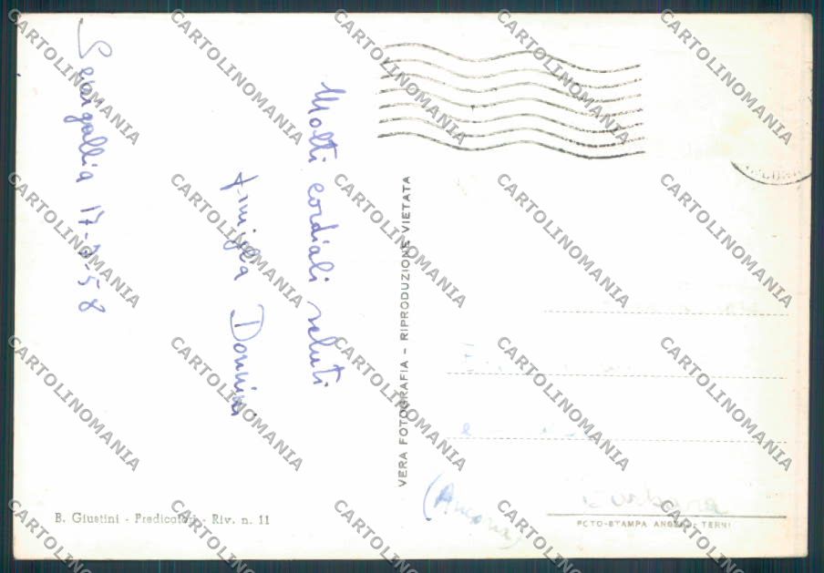 Ancona Senigallia Foto FG cartolina ZF8200 – retro