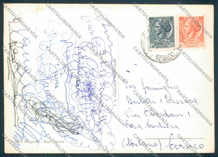 Ancona Senigallia Foto FG cartolina ZF8201 – retro