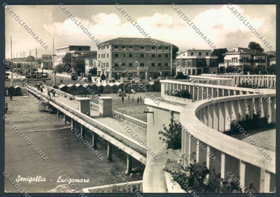 Ancona Senigallia Foto FG cartolina ZF8202 – fronte