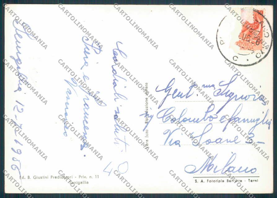 Ancona Senigallia Foto FG cartolina ZF8202 – retro