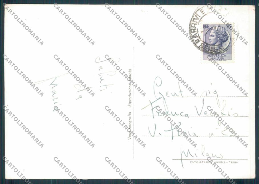 Ancona Senigallia Foto FG cartolina ZF8204 – retro