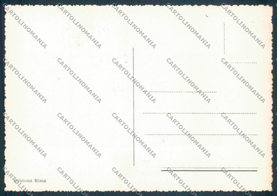 Ancona Senigallia Foto FG cartolina ZF8205 – retro