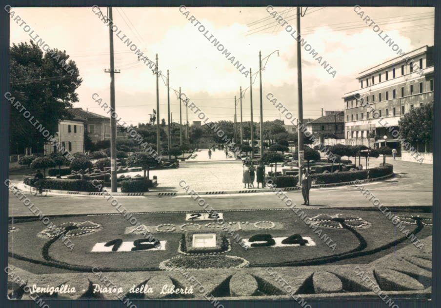 Ancona Senigallia Foto FG cartolina ZF8206 – fronte