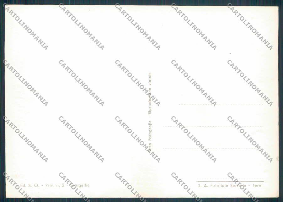 Ancona Senigallia Foto FG cartolina ZF8206 – retro