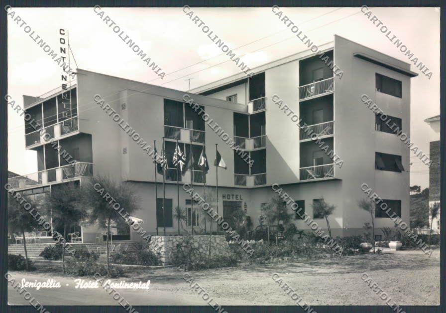 Ancona Senigallia Foto FG cartolina ZF8207 – fronte