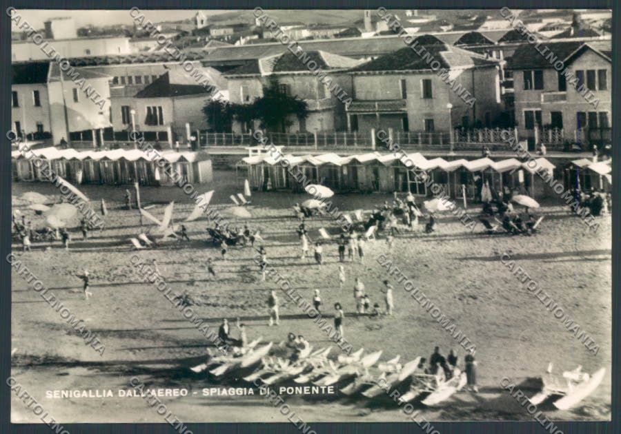 Ancona Senigallia Foto FG cartolina ZF8208 – fronte