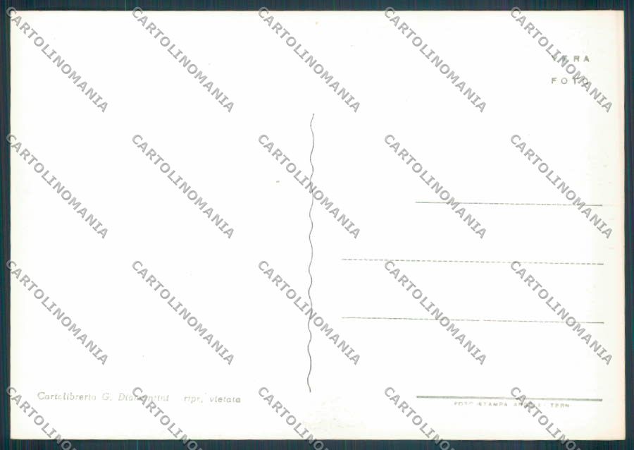 Ancona Senigallia Foto FG cartolina ZF8208 – retro