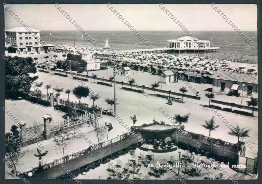 Ancona Senigallia Foto FG cartolina ZF8216 – fronte